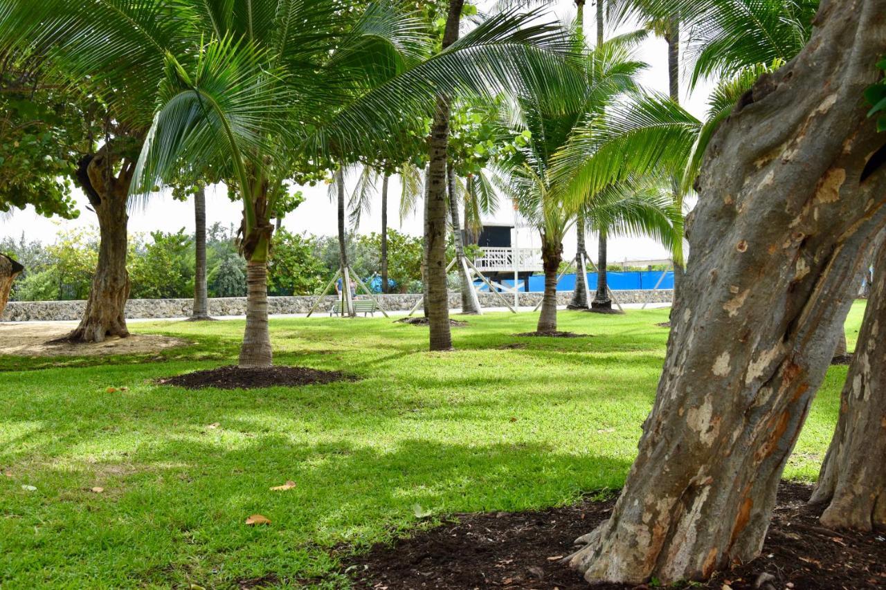 Miami Party Hostel Hostel